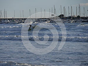 Nice waves for the surfer of the port