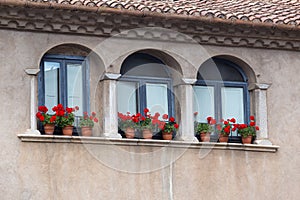 Nice windows with geranium flowers in a spanish town Gerona.