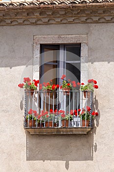 Nice windows with geranium flowers in a spanish town Gerona.