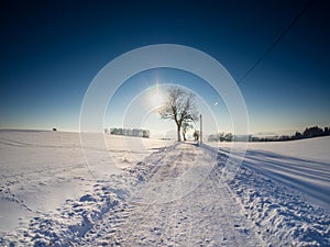 Nice wintry panorama background image