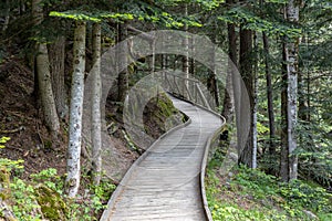 Nice wooden path of AigÃ¼estortes i Estany de Sant Maurici National Park in a Spanish Pyrenees mountain