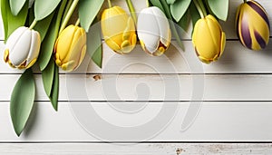 Nice yellow and white tulips on white wood background