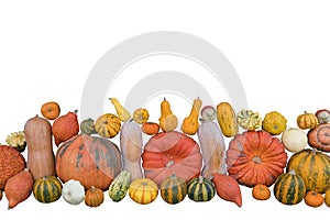 Nicely Arranged Pumpkins In Fall Color