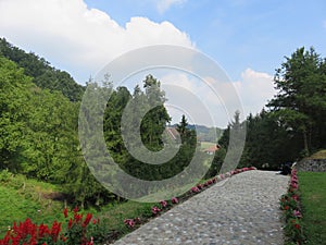 Nicely decorated paved path with flowers