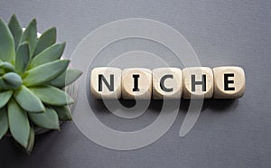 Niche symbol. Concept word Niche on wooden cubes. Beautiful grey background with succulent plant. Business and Niche concept. Copy