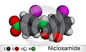 Niclosamide molecule. It is chlorinated salicylanilide, antihelminthic drug for the treatment of tapeworm infections photo