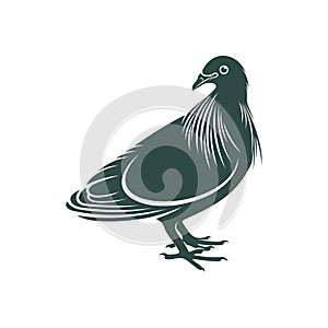 Nicobar pigeon design vector illustration. Nicobar pigeon Silhouette. Bird design template