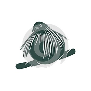 Nicobar pigeon design vector illustration. Nicobar pigeon Silhouette. Bird design template