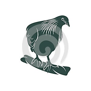 Nicobar pigeon design vector illustration. Nicobar pigeon Silhouette. Bird design template