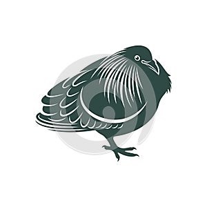 Nicobar pigeon design vector illustration. Nicobar pigeon Silhouette. Bird design template