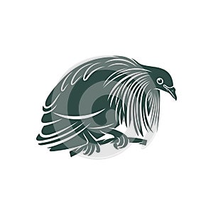 Nicobar pigeon design vector illustration. Nicobar pigeon Silhouette. Bird design template