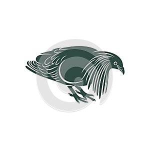 Nicobar pigeon design vector illustration. Nicobar pigeon Silhouette. Bird design template