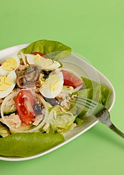 Nicoise Salad