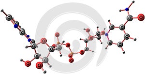 Nicotinamide adenine dinucleotide molecular structure isolated on white