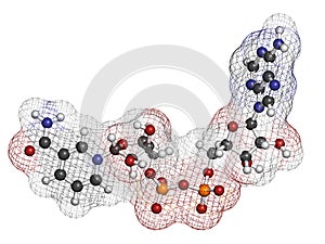 Nicotinamide adenine dinucleotide (NAD+) coenzyme molecule. Important coenzyme in many redox reactions photo