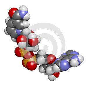 Nicotinamide adenine dinucleotide (NAD+) coenzyme molecule. Important coenzyme in many redox reactions photo