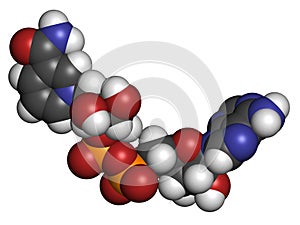 Nicotinamide adenine dinucleotide (NAD+) coenzyme molecule. Important coenzyme in many redox reactions photo