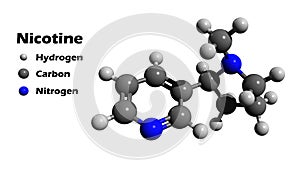 Nicotine 3D structure