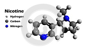 Nicotine 3D structure photo