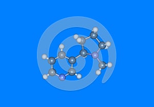 Nicotine molecular model