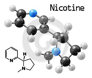 Nicotine molecule