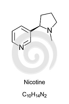 Nicotine molecule skeletal formula