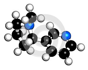 Nicotine tobacco stimulant molecule. Main addictive component in cigarette smoke. 3D rendering. Atoms are represented as spheres.