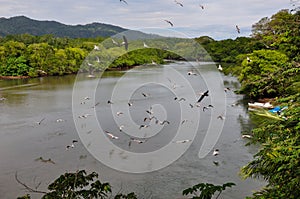 Nicoya Peninsula landscapes, Costa Rica photo