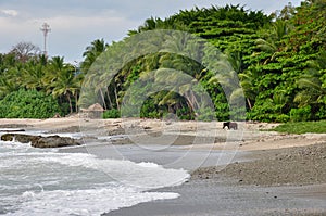 Nicoya Peninsula landscapes, Costa Rica photo