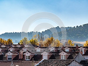 Niebla matinal spain photo