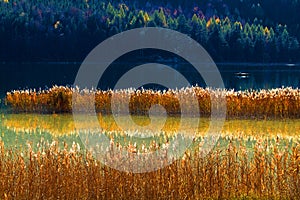 Niedersonthofener See- Germany