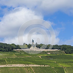 Niederwald memorial with vineyards in the Rhine valley