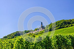 Niederwalddenkmal Germania monument on Niederwald broad hill with vineyards green fields of Rhine river valley photo