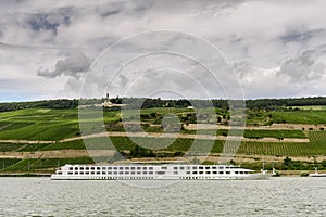 Niederwaldenkmal and vineyards near Ruedesheim am Rhein, Hesse, Germany