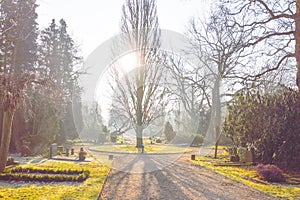 Nieuwe Oosterbegraafplaats At Amsterdam The Netherlands