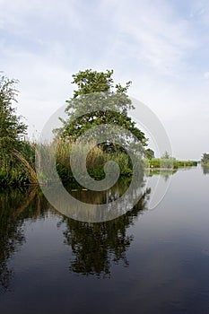 Nieuwkoopse Plassen photo