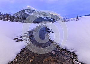 Nigel Peak in Winter photo