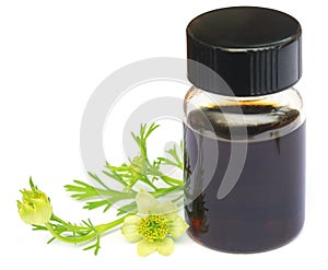 Nigella flower and essential oil in a glass bottle