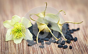 Nigella flower with seeds photo