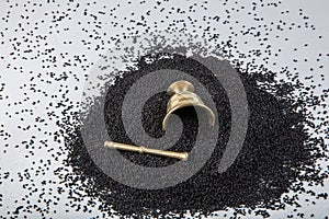 Nigella sativa seeds also known as black cumin, kalo jeera, kalonji and black caraway in iron scoop and mortar on white wooden