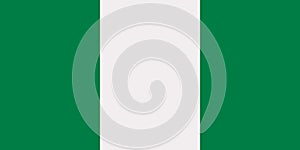 Nigeria flag vector