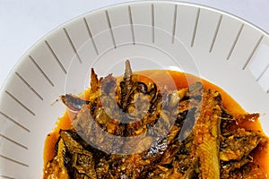 Nigeria, Yoruba cuisine; Close up a plate of Shawa fish stew