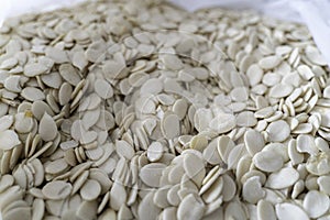 Nigerian Egusi Melon seeds - Close up macro