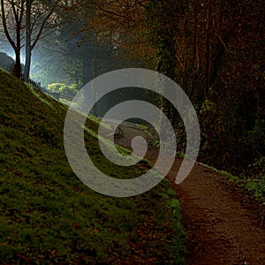 Nigh time image of eerily lit path besides trees and grassy incline with trees silhouetted