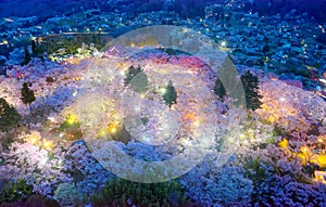 Night Aerial panorama above Takato Castle Site Park , which is a famous spot for Hanami Matsuri,