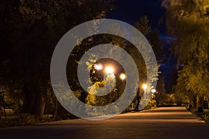 Night alley of the old Park outside of town