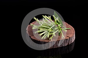 Night-blooming jasmine or Cestrum nocturnum flowers isolated on black background