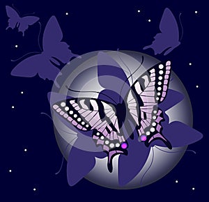 Night butterfly background