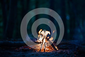 Night campfire at the night.