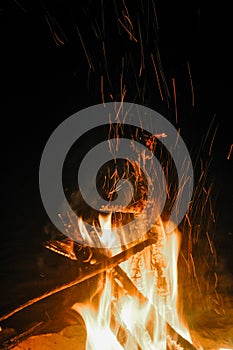 Night Campfire Bonfire in a beach shore, Dusk environment travelling in a black background